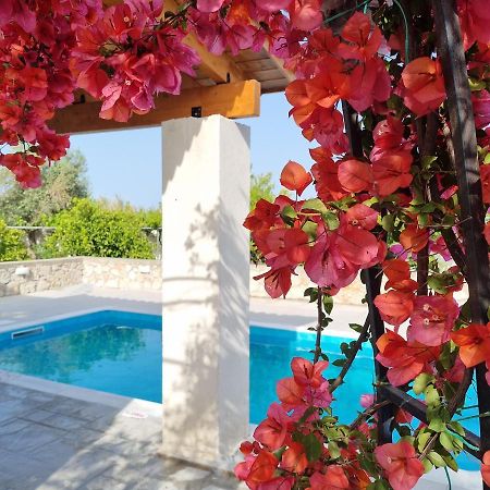 아판토우 Lianas Garden House 빌라 외부 사진